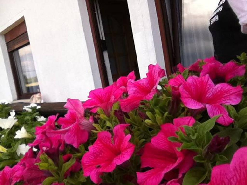 Guesthouse Magdalena Rakovica Zimmer foto